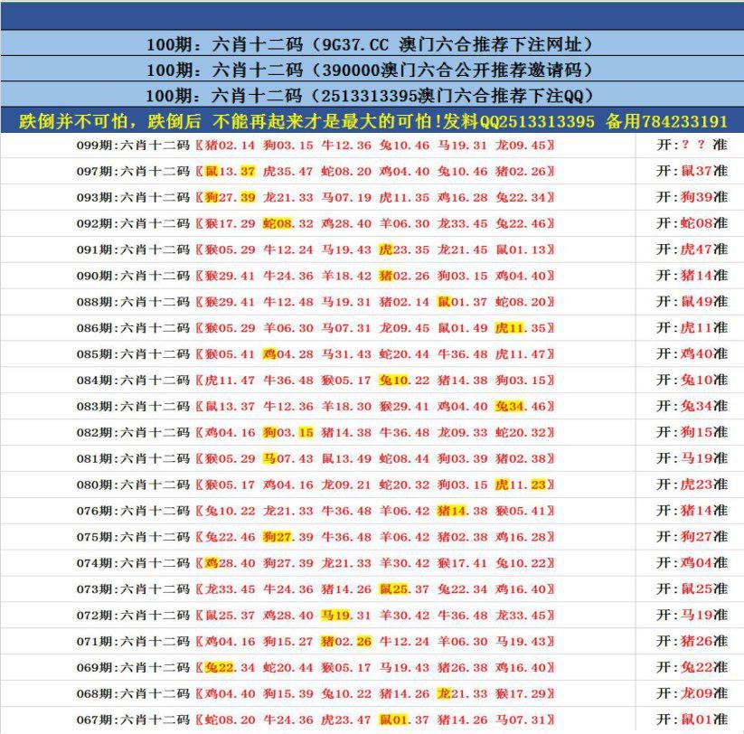 新澳门资料长期免费大全,新澳门精准四肖期期中特公开