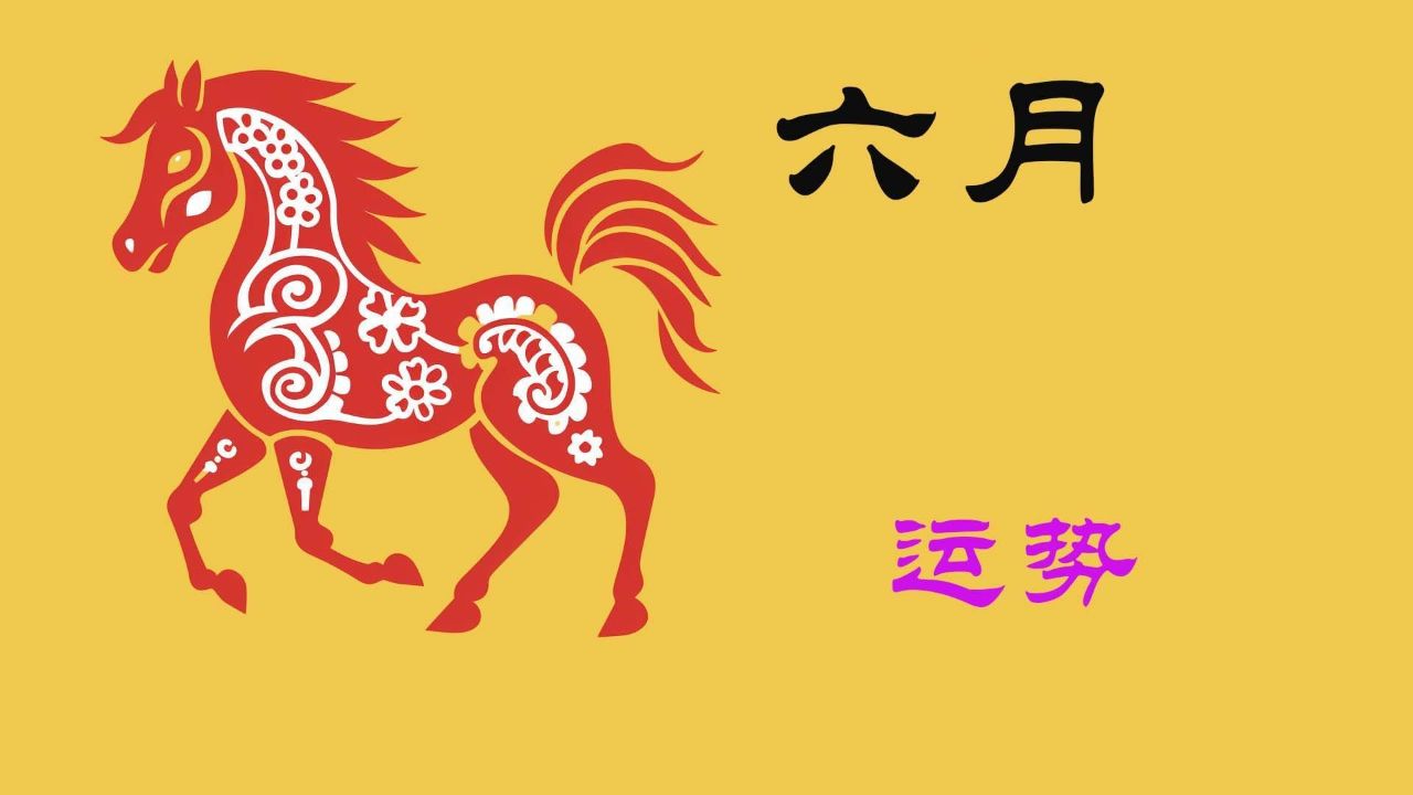 香港马开奖2024年记录查询,香港马2021开奖结果+开奖记录下载