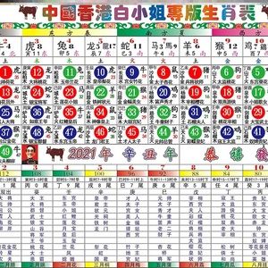 生肖卡2024图片码表,生肖卡2024图片码表澳门