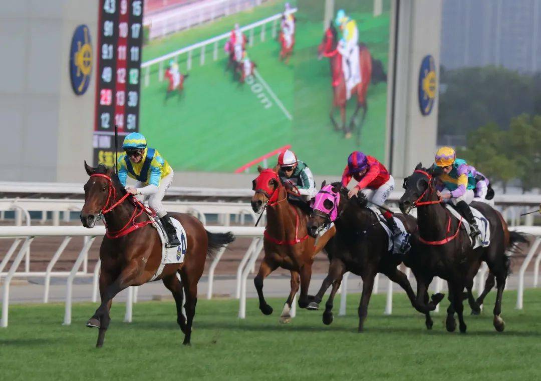 香港特马资料免费,香港正版资料免费资料大全一