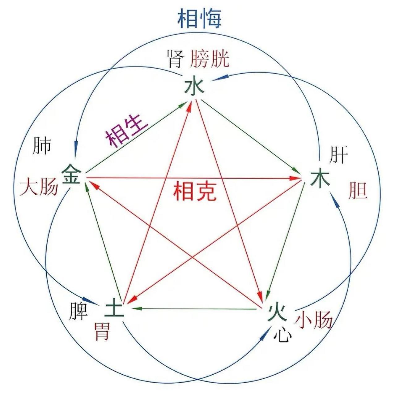 五行相生相克的精准排肖公式,五行相生相克的精准排肖公式有哪些