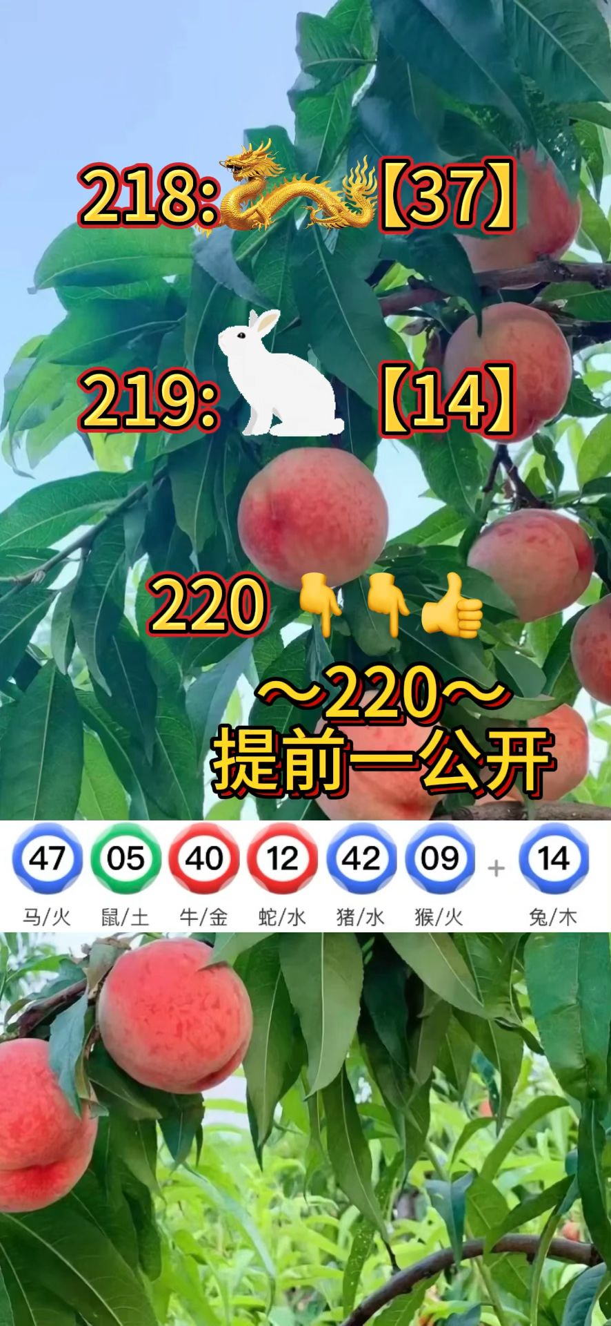 33249澳门资料,093澳门资料库已更新