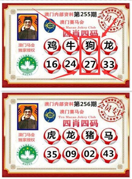 2024年管家婆的马资料50期,管家婆彩图大全2019年第142期