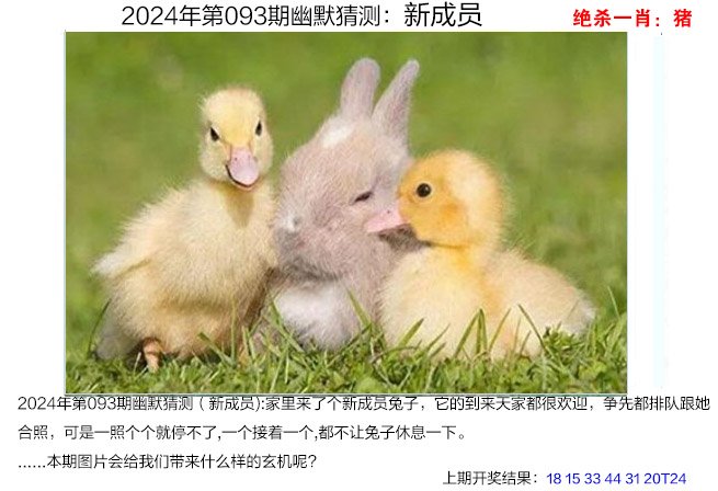 2024年管家婆的马资料52期,管家婆彩图大全2019年第142期