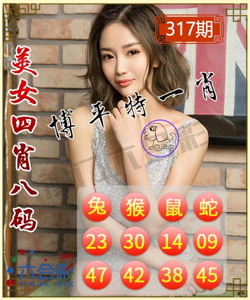 2024澳彩管家婆传真,