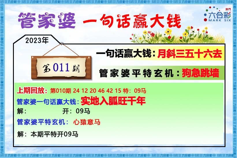 4949cc澳门资料2023年,