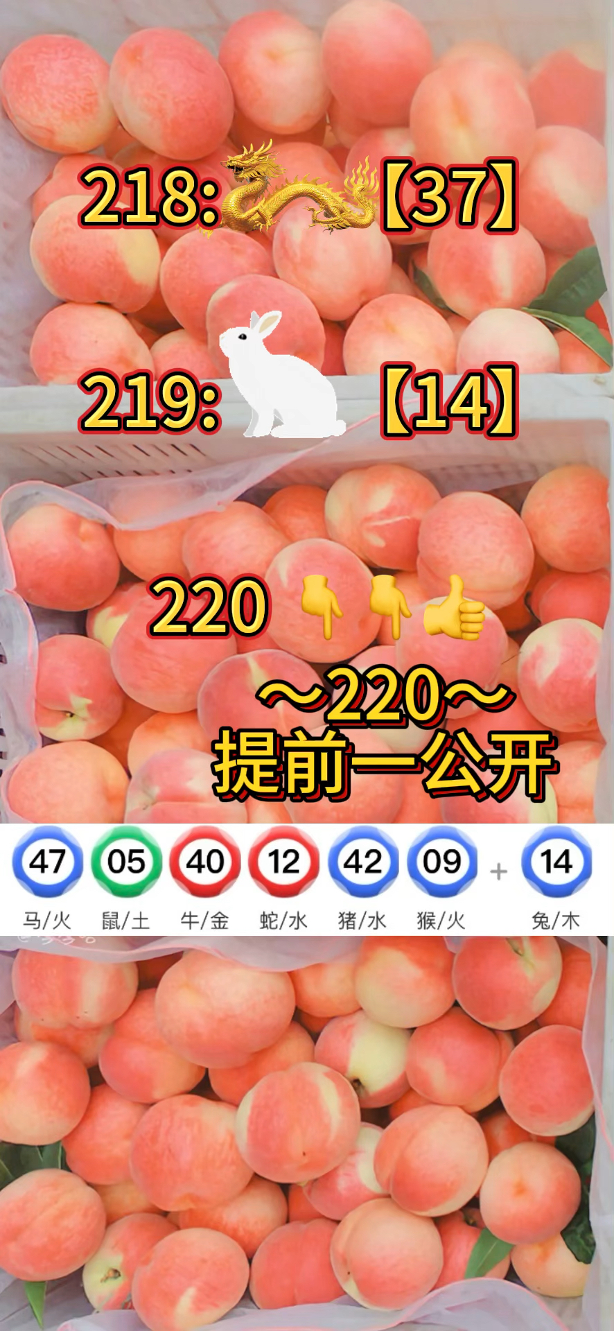 新澳门资料大全正版资料大全,澳门资料大全正版资料2021年主页