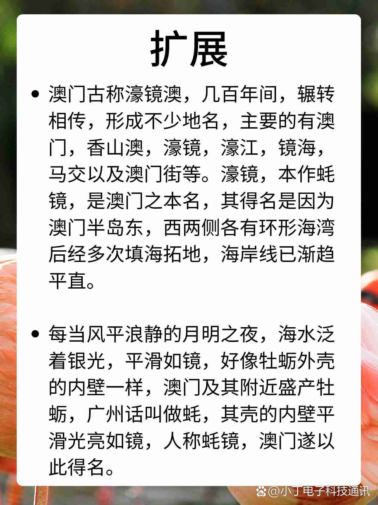 澳门资料一澳门资料库49图库,