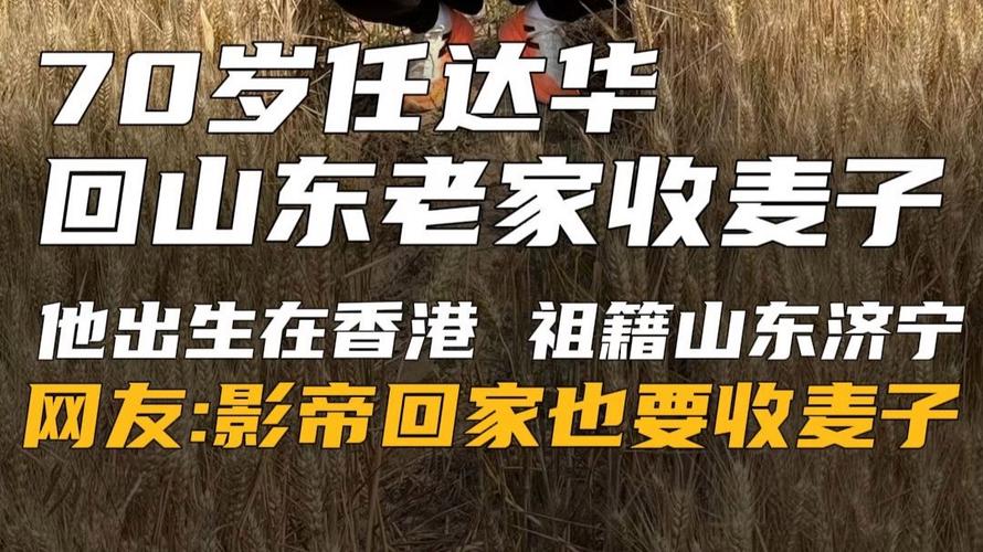 澳彩资料大全部网站010:任达华回山东收麦子